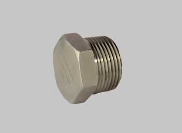 Hex Drain Plug  (Grease Fitting Accessories)